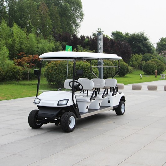 Carrozza da golf elettrica a sei posti