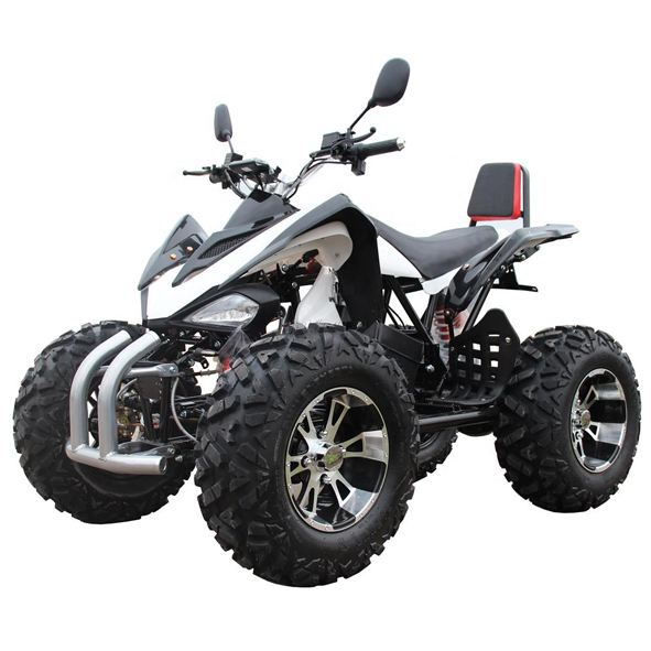 Piccolo ATV elettrico